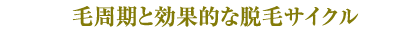 毛周期と効果的な脱毛サイクル